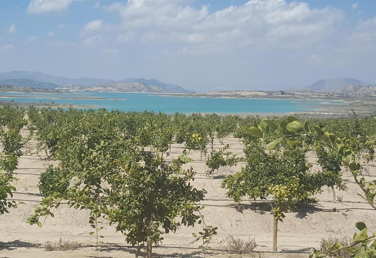 Very Nice Apartment With See Views Dehesa de Campoamor  Exterior foto